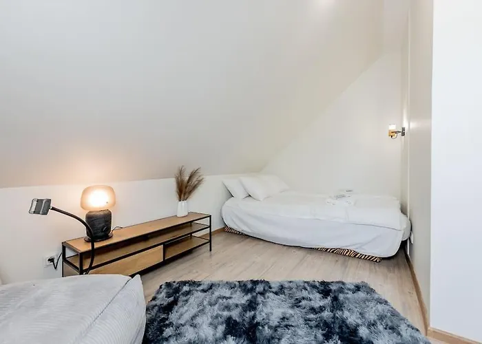 Joenrannalla, Historiaa Ja Modernia Mukavuutta Daire Pärnu